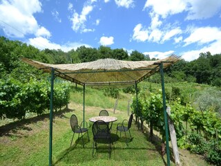 Holiday house Molazzana  39