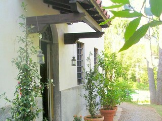 Holiday cottage San Giuliano Terme Features 9