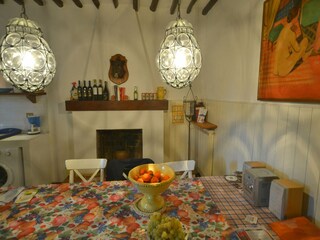 Holiday cottage San Giuliano Terme Features 12
