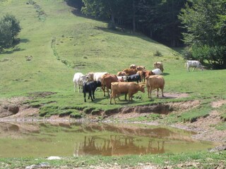 Casa per le vacanze Pescaglia Ambiente 28