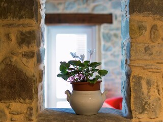 Maison de vacances Pescaglia  38