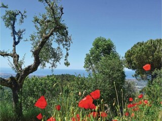 Casa per le vacanze Pescaglia Ambiente 32
