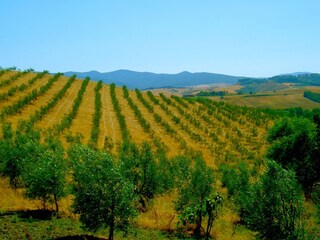 Appartamento Lajatico Ambiente 27