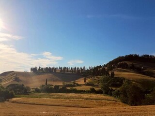 Appartement Lajatico Environnement 26