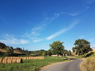 Appartamento Lajatico Ambiente 19