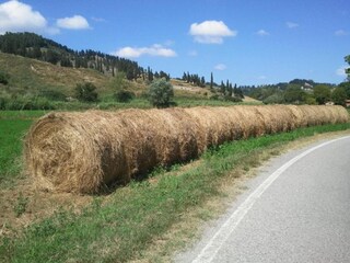 Appartamento Lajatico Ambiente 30