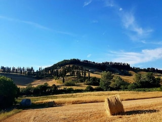 Appartamento Lajatico Ambiente 30