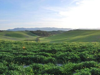 Appartamento Lajatico Ambiente 19