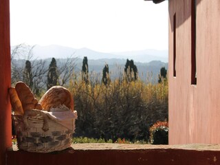 Casa per le vacanze Peccioli Registrazione all'aperto 13