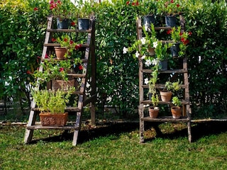 Vakantiehuis Peccioli  39