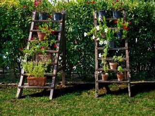 Casa per le vacanze Peccioli  40