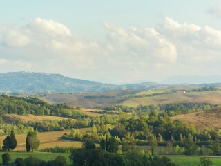 Vakantiehuis Peccioli Omgeving 33