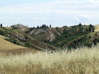Ferienhaus Peccioli Umgebung 34