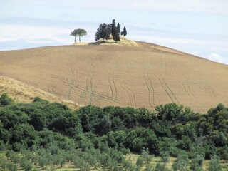 Vakantiehuis Peccioli Omgeving 36