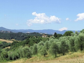 Casa de vacaciones Peccioli Entorno 35