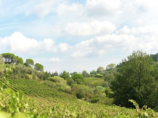 Maison de vacances Peccioli Environnement 31