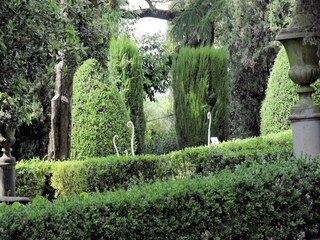 Holiday house Peccioli Environment 35