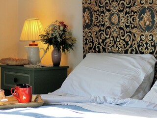 Vakantiehuis Peccioli Kenmerken 29