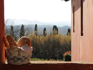 Casa per le vacanze Peccioli Registrazione all'aperto 4