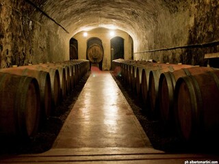 Ferienhaus Peccioli Umgebung 24