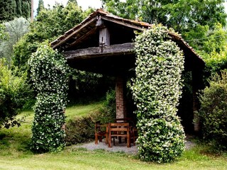 Casa de vacaciones Peccioli Grabación al aire libre 6