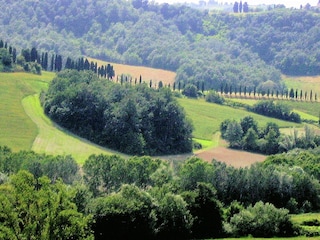 Casa per le vacanze Peccioli Ambiente 28