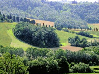 Holiday house Peccioli Environment 28