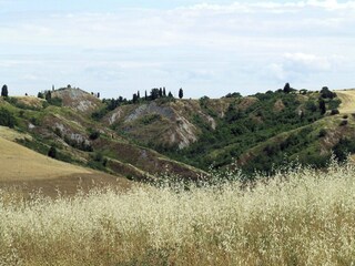 Holiday house Peccioli Environment 31