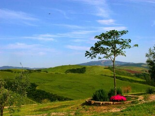 Fattoria Lajatico Registrazione all'aperto 9