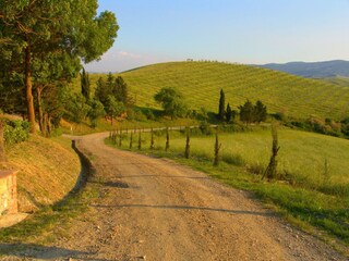 Fattoria Lajatico Registrazione all'aperto 7