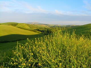 Fattoria Lajatico Registrazione all'aperto 8