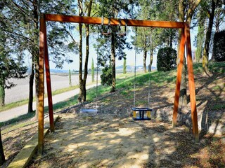 Type de propriété : Ferme Lajatico  35