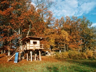 Baumhaus im Hebst