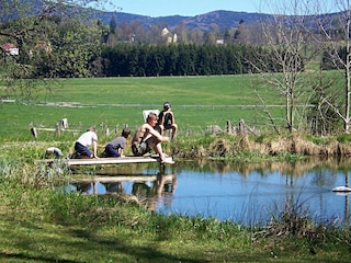 Weiher mit Floß