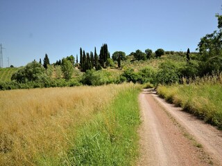 Holiday house Radicondoli Environment 29