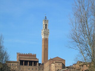 Holiday house Radicondoli Environment 31