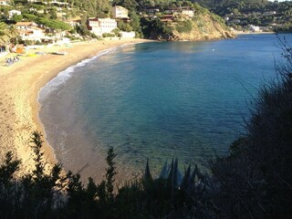 Casa per le vacanze Capoliveri Ambiente 38