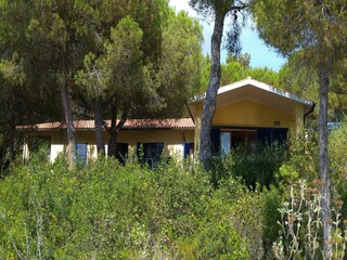 Casa de vacaciones Capoliveri Grabación al aire libre 7