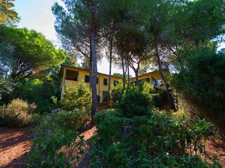 Ferienhaus Capoliveri Außenaufnahme 13