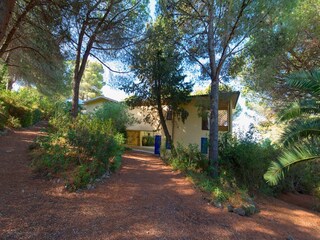 Ferienhaus Capoliveri Außenaufnahme 14