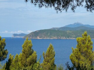 Ferienhaus Capoliveri Umgebung 36