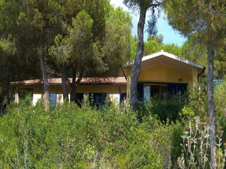 Maison de vacances Capoliveri Enregistrement extérieur 15