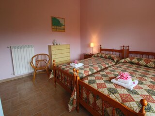 Fattoria Sorano Caratteristiche 33