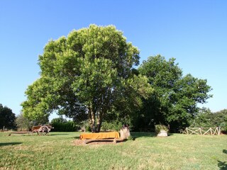 Boerderij Sorano Buitenaudio-opname 15