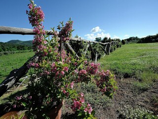 Farmhouse Sorano Outdoor Recording 20