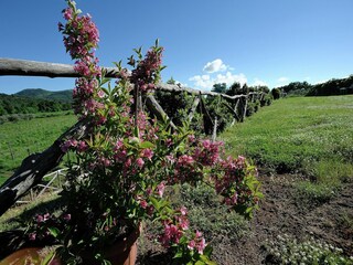 Casa de campo Sorano Grabación al aire libre 17