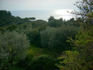 Casa de vacaciones Monte Argentario Grabación al aire libre 9