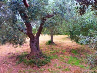 Casa de vacaciones Monte Argentario Grabación al aire libre 21