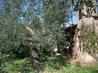 Casa de vacaciones Monte Argentario Grabación al aire libre 23