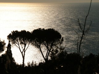 Vakantiehuis Monte Argentario Buitenaudio-opname 23